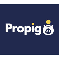 Propig logo - Similar company to Box Extra Self Storage E Coworking