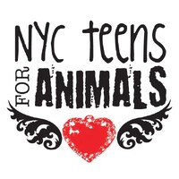 NYC TEENS FOR ANIMALS INC