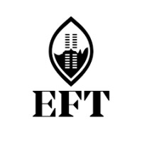 Eswatini Financial Times logo - Similar company to Msfa Eswatini