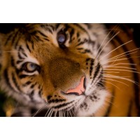 Biodiversity Business logo - Similar company to Blueseanautic