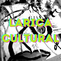 Larica Cultural logo - Similar company to Lab.Vintecinco
