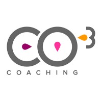 CO3COACHING logo - Similar company to Coach Bee