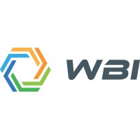 World Business Intelligence