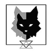 Steal A Step logo - Similar company to Steel Thread