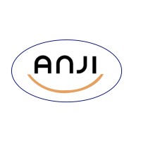 ANJI ENGINEERING SOLUTIONS PRIVATE LIMITED logo - Similar company to Rightinfotechs