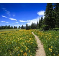 Brian's test Company page renamed logo - Similar company to Extra Cool Inc