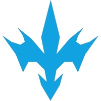 Coding Wise logo - Similar company to Coding Wise