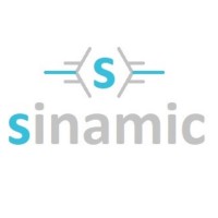 SINAMIC logo - Similar company to Sinamix