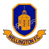 Wellington Football Club logo - Similar company to Greeny Visuals