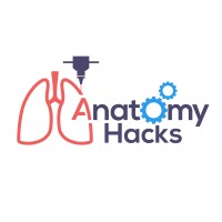 Anatomy Hacks logo - Similar company to Anatomical Society