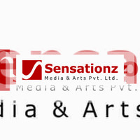 Sensationz Media & Arts Pvt. Ltd. logo - Similar company to Power Sportz