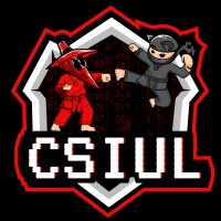 CSIUL logo - Similar company to Securoweb