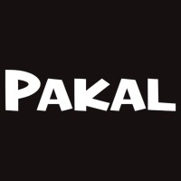 PAKAL B2B | Consultora Digital | Marketplace & Alibaba.com Official Channel Partner logo - Similar company to Letteroperators