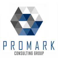 Promark Consulting Group logo - Similar company to Techworks Inc