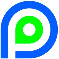 Shandong Paini New Material CO.,Ltd logo - Similar company to Global Polychem Llc