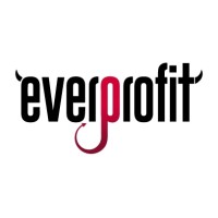 Everprofit logo - Similar company to Adextrem