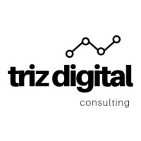 Triz Digital Technology Consulting logo - Similar company to Boltworks India
