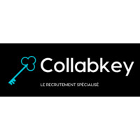 Collabkey logo - Similar company to Dotline