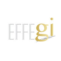 EFFEGI DI ORSINI S.R.L. logo - Similar company to Omnilog