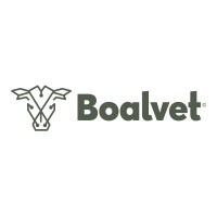 Boalvet AI logo - Similar company to Rfeagas