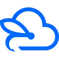 Caddis Cloud Solutions logo - Similar company to Atmosphere Data Centers