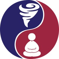 Zenstrom Developers logo - Similar company to My Dot Com Business