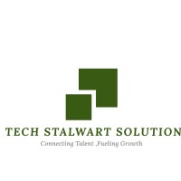 Tech Stalwart Solution logo - Similar company to Letitbex Ai