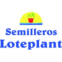 LOTEPLANT, SL logo - Similar company to Sinapsis Podcast
