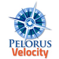Pelorus Velocity logo - Similar company to Orkos, Uab