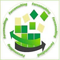 Forconsulting-Formação e Consultoria logo - Similar company to Formação Global