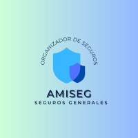 AMISEG logo - Similar company to Dynamic Local
