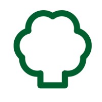 Broccoli logo - Similar company to Kyak Studio