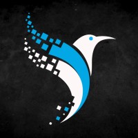 Volaris Labs logo - Similar company to Lore Network