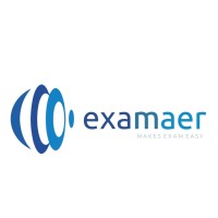 examaer logo - Similar company to Vedanth Nath Co