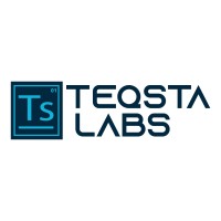 Teqsta labs pvt ltd logo - Similar company to Networksism