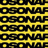 PROSONARTE logo - Similar company to Freelance Scm