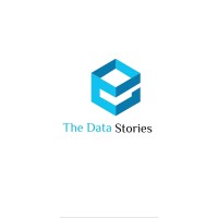 The Data Stories logo - Similar company to Data Magic Wand