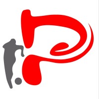 xyz logo - Similar company to Connectsport Cic