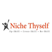 Niche Thyself logo - Similar company to Advibe Marketing Solution