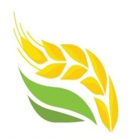 Alhuqul Alkhadra General Trading L.L.C logo - Similar company to Pace Inrernational General Trading Llc