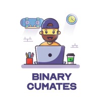 BINARY CUMATES logo - Similar company to Bunch Infotech