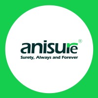 Anisure India logo - Similar company to Prompt Innovations