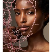 the untamed logo - Similar company to The Untamed Thread, Llc