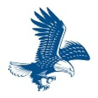 Flying Eagle IT International