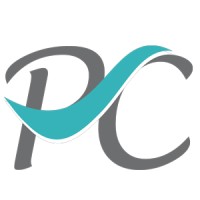 Profusion Consulting South Africa logo - Similar company to Virtual Brokers Desk