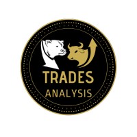 Trades Analysis logo - Similar company to My Trading Coder