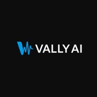 Vally AI