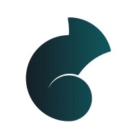 Chameleon logo - Similar company to Champion Coach