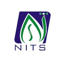 National IT Solutions logo - Similar company to Web Cycle