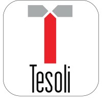 TESOLI SERVICES Canada logo - Similar company to Geiger Handling Uk